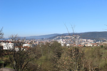 The Galician deciduous forest in the month of February