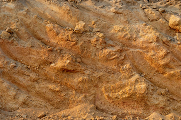 The cross-sectional surface of the soil that is scratched.