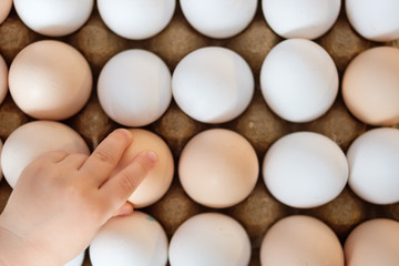 Children's hand takes a white egg from many other eggs