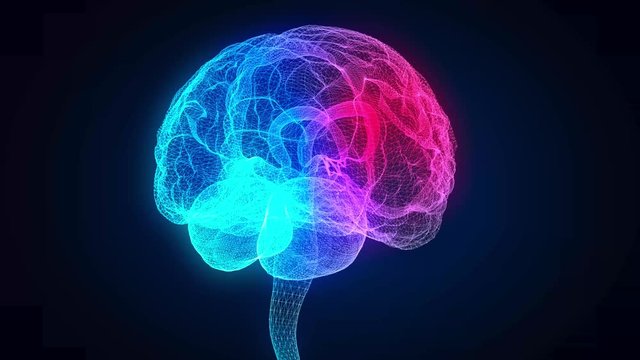 Rotating human brain. Glowing blue light line of human brain model. Seamless looping motion animated neurons in 3d virtual space.