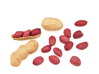 Dried peanuts in closeup on a white background