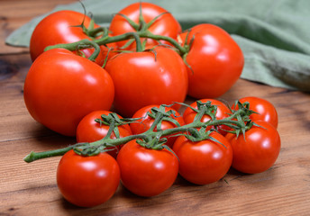 Red ripe tasty Dutch tomatoes growing indoor in greenhouse all seasons, food industry in Netherlands