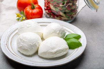 Cheese collection, balls Italian soft white cheese mozzarella