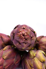 Heads of raw fresh purple artichoke plant ready to cook