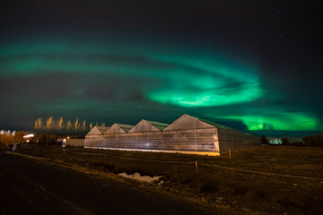 A breathtaking aurora borealis also known as a northern lights above Icelandic greenhouse. Beautiful and magical arctic weather conditions in the Icelandic scenery. Tourism in Iceland