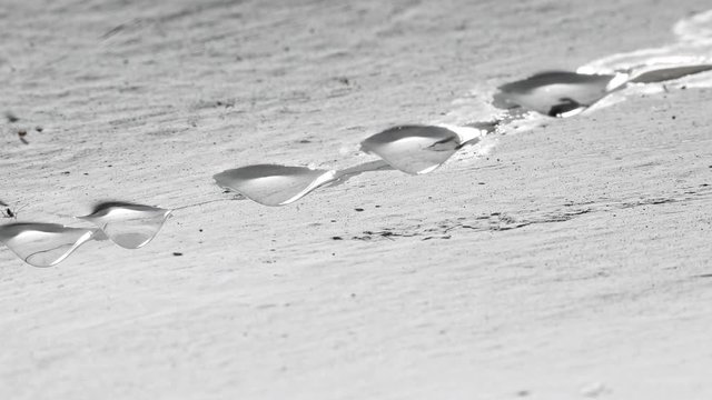 Drops of water fall from the plastered ceiling. Leak between floors of a house in need of repair. Flies and midges fly near the water.