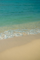 Fototapeta na wymiar Tropical Seashore Background With Turquoise Water and Pristine White Sand
