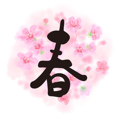 新商品 文字 セール 筆書き 手書き 筆文字 日本語 書道 書き文字 墨文字 習字 字 墨 書 Brazen Wall Mural Braz 詩織