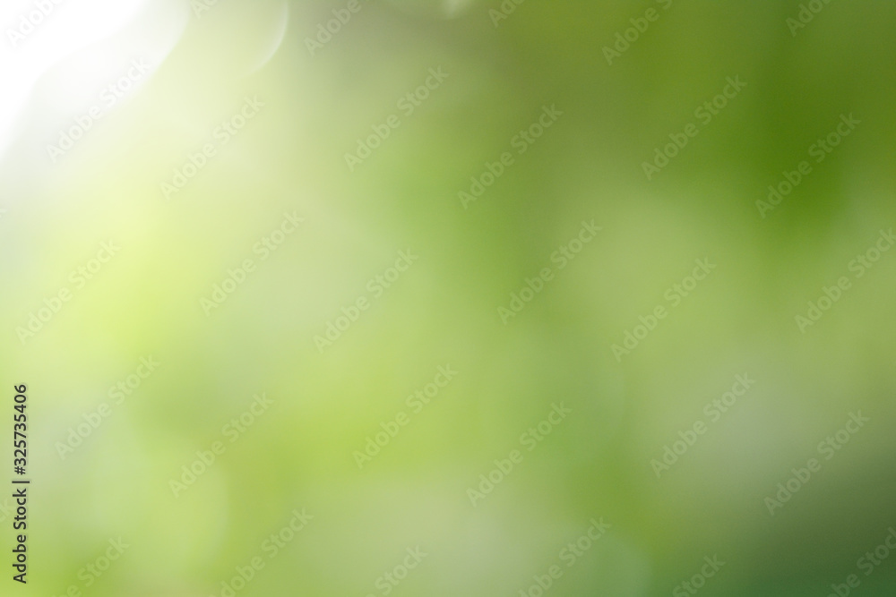 Canvas Prints abstract natural green bokeh is beautiful and blurred during the summer, which is a greenish bokeh t