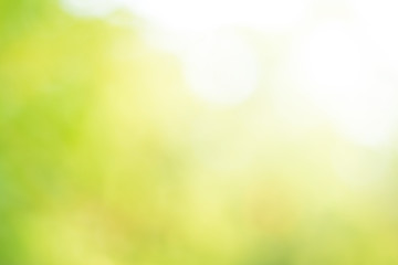 green bokeh background.green blur abstract 