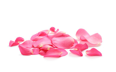 Fresh pink rose petals on white background