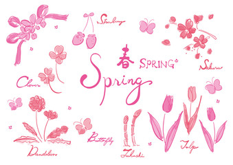 線画, 単色, ピンク, 春色, 春セット, 春, spring, 春素材, 春集合, ベクター, セット, 集合, 素材, 花, 植物, 春の花, 桜, さくら, サクラ, チューリップ, イチゴ, いちご, 苺, たんぽぽ, タンポポ, クローバー, 四つ葉, つくし, 土筆, 蝶, 蝶々, ちょうちょ, リボン, 英語, 文字, 英文, 筆記体, かわいい, きれい, 手描き風, 白バック,