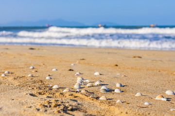 Beautiful landscape with sea beach in Vietnam