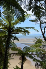 Abel Tasman Nationalpark Neuseeland Aussicht vom Coastal Track