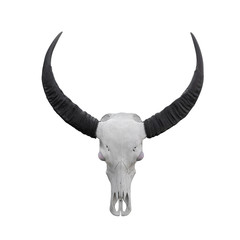 buffalo, skull, head, animal, background, closeup, art,  death, face,