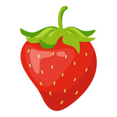 Sweet delicious strawberry. Fresh summer berry. Organic