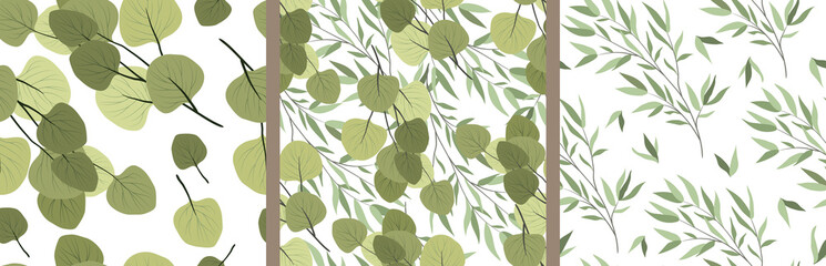 Set of seamless patterns with branches of a willow and eucalyptus on a white background. Vector