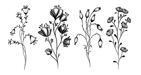 A set of monochrome wildflowers. Vector illustration