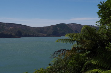 Fototapeta na wymiar Abel Tasman Nationalpark Neuseeland Aussicht vom Coastal Track
