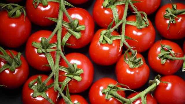 Cherry tomatoes on rotating background. Top view. Vegan and raw food concept. Bunch of fresh red tomatoes