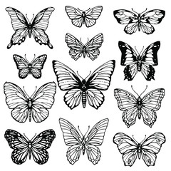 Butterfly line art set isolated on white background. Hand drawn ink illustration. Stock vector collection set, design for coloring book page