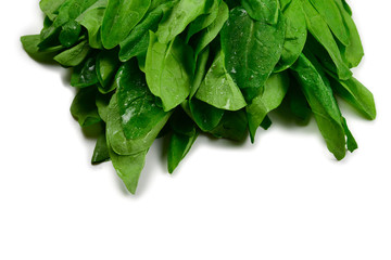 Fresh spinach leaves as background.