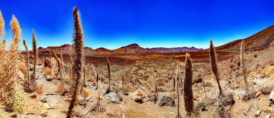 Teide volcano in Canary island.Tenerife national park.Nature volcanic landscape.Landmark in Spain 