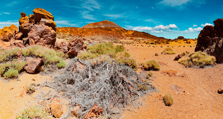 Teide volcano in Canary island.Tenerife national park