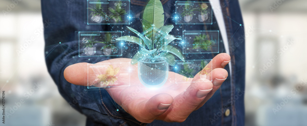 Leinwandbilder man holding and touching holographic projection of a plant with digital analysis 3d rendering