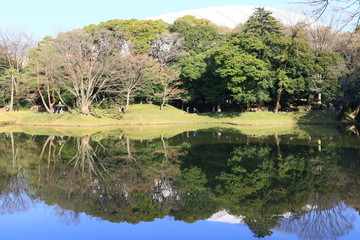 Fototapeta premium 都会のオアシス