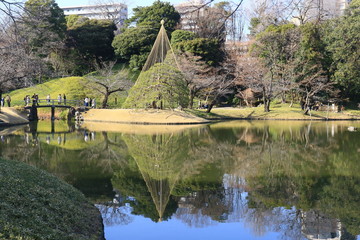 都会のオアシス