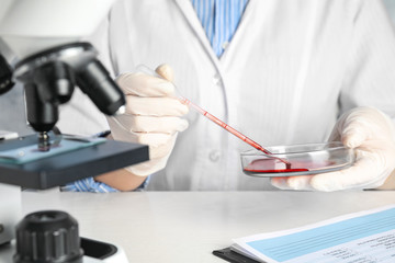 Scientist taking blood sample from Petri dish with pipette in laboratory, closeup. Virus research