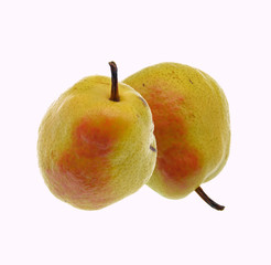 two pears isolated on white background