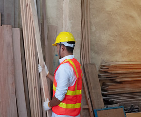 Handsome man wearing safety vest and yellow helmet,choosing timber board from wood pile,prepare for doing wood work at factory