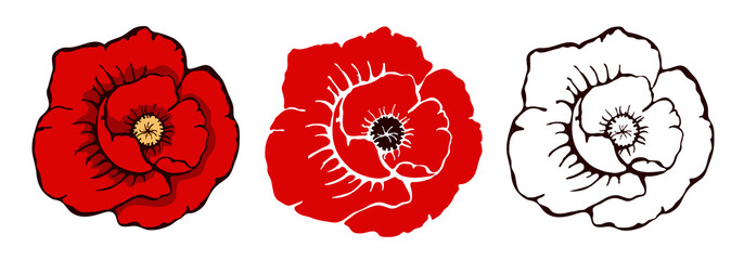 Set of three poppies flowers. Vector illustration isolated on a white background. template for Remembrance day in hand drawn style.