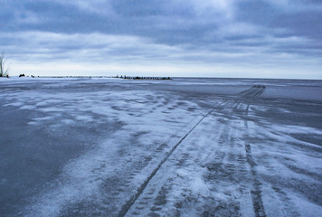 Cracked ice on a forest lake.
