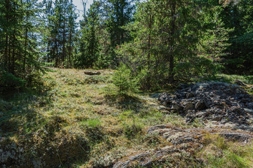 Fototapeta na wymiar Travel to Russia. Ladoga skerries- hiking on the lake. Nature landscape- national park