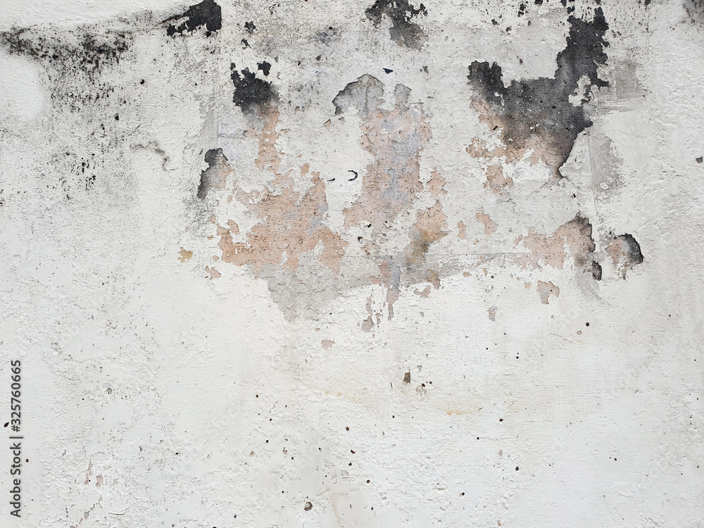 Wall mural Empty Gray wall concrete texture and cement background