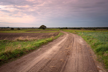Fototapeta na wymiar Sandy road through fields and evening dark clouds on the sky