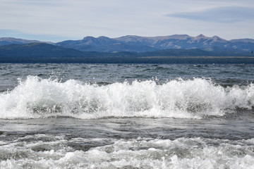 Olas del Nahuel
