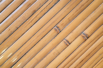 yellow bamboo craft background