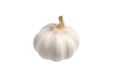 garlic, whole vegetable crop, isolated on white background
