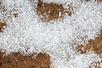 Fototapeta na wymiar Snow pellets, graupel or soft hail on the ground. Form of precipitation