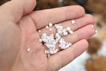 Graupel, snow pellets or soft hail in hand on blurred background. Form of precipitation