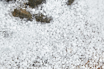 Graupel, snow pellets or soft hail on the ground. Form of precipitation