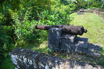 Fototapeta na wymiar Ancient guns of the Fort Zeelandia fortress in the subtropics against a background of green trees and palm trees, Guyana. Medieval architecture, world tourism.