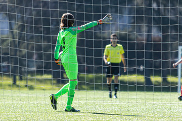 Young soccer goalkeeper behind his goal stopping a goal, back view