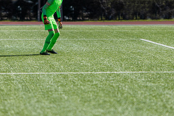 Fototapeta premium Football