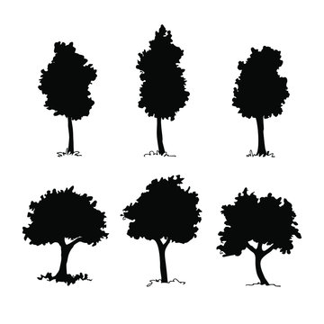 Set of architectural trees. Hand drawn vector silhouettes