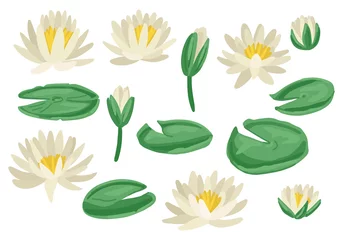 Foto op Canvas Lily pads set. Isolated on white background. Vector illustration © Veronika
